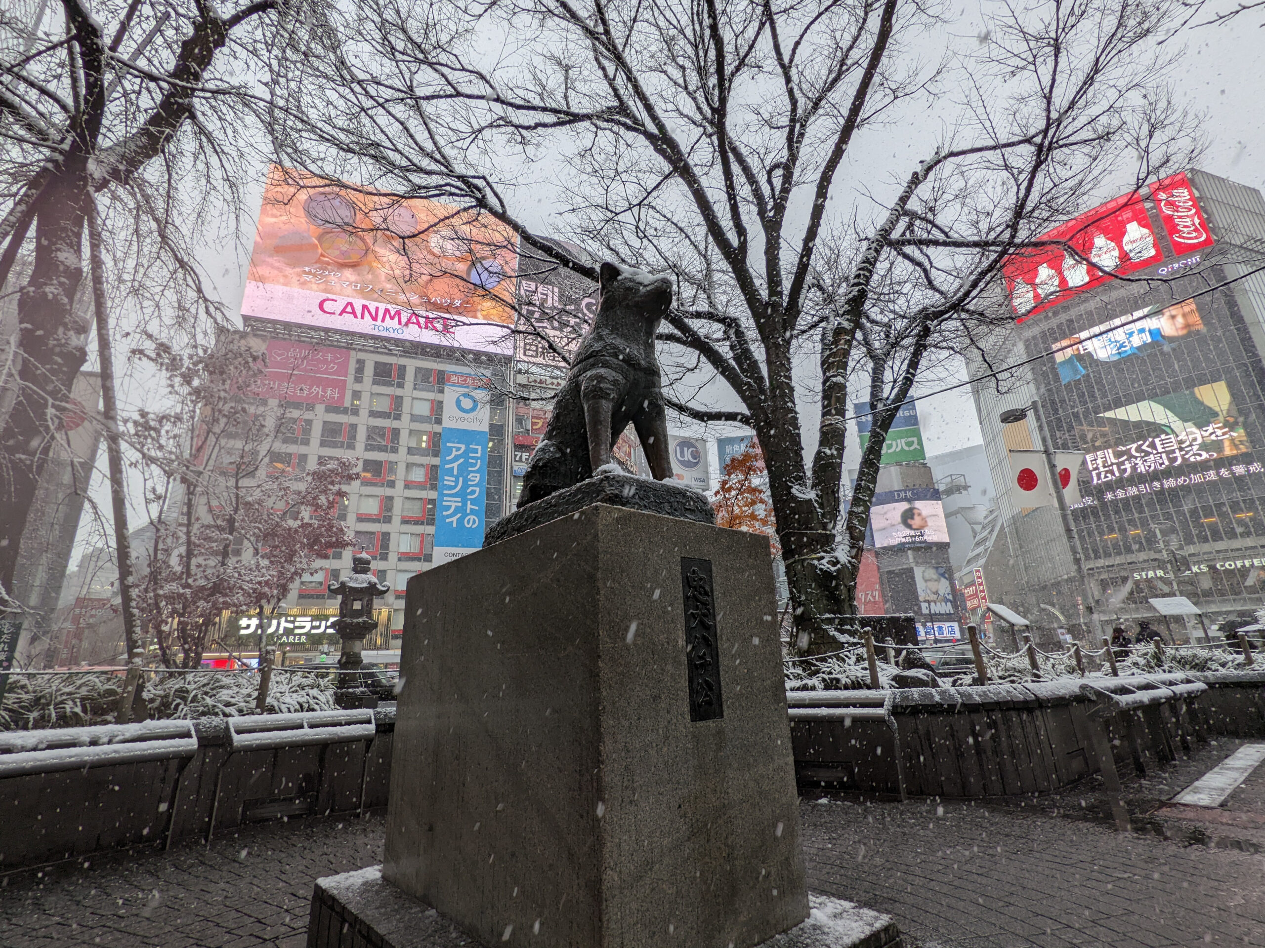 渋谷 ハチ公 雪の日の写真 7枚目