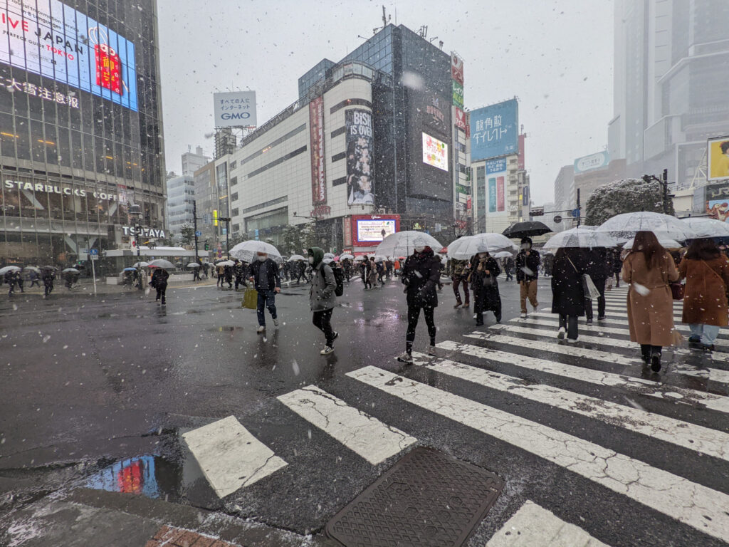 雪の日の渋谷スクランブル交差点