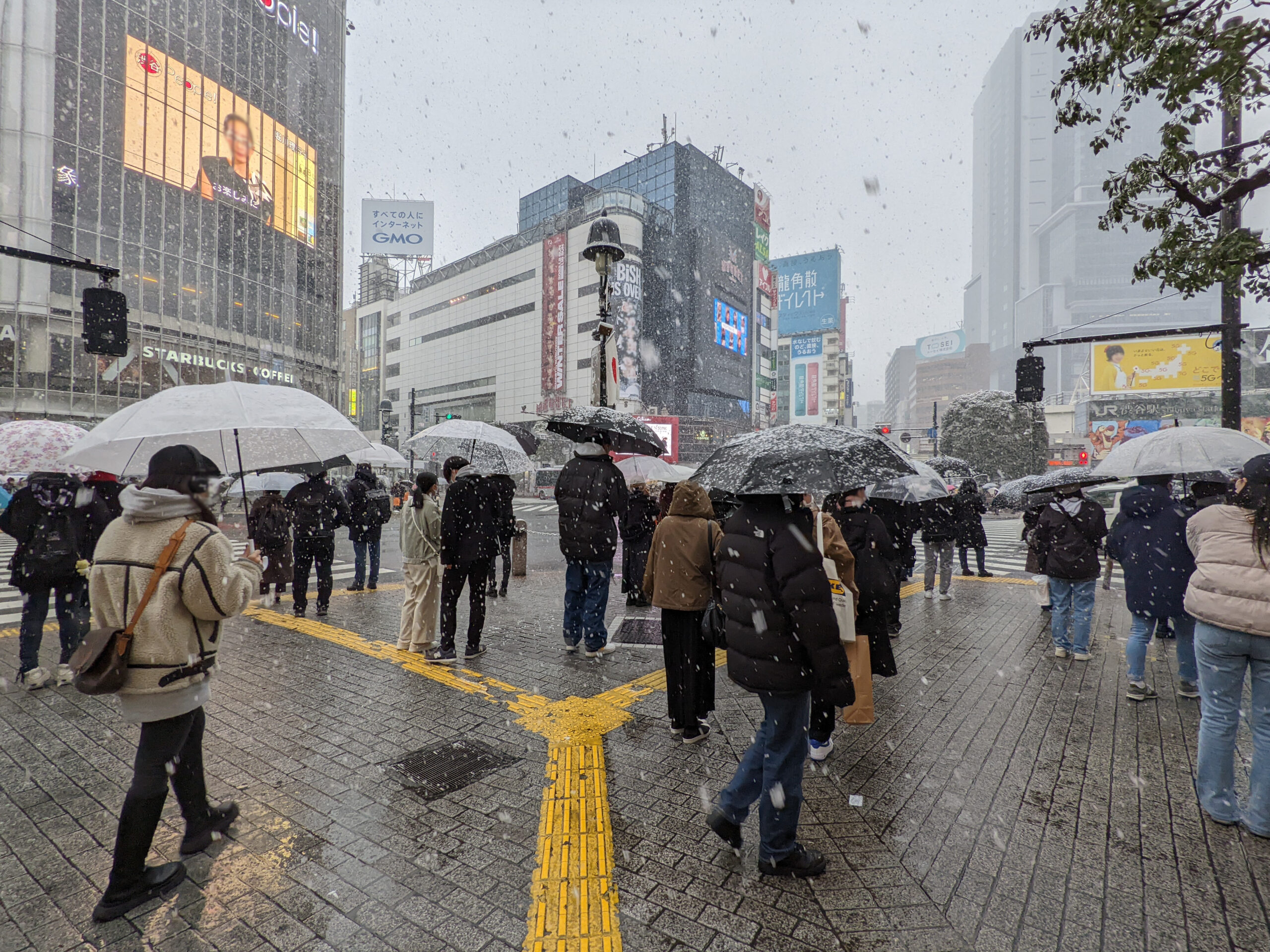 雪の日の渋谷スクランブル交差点 2枚目