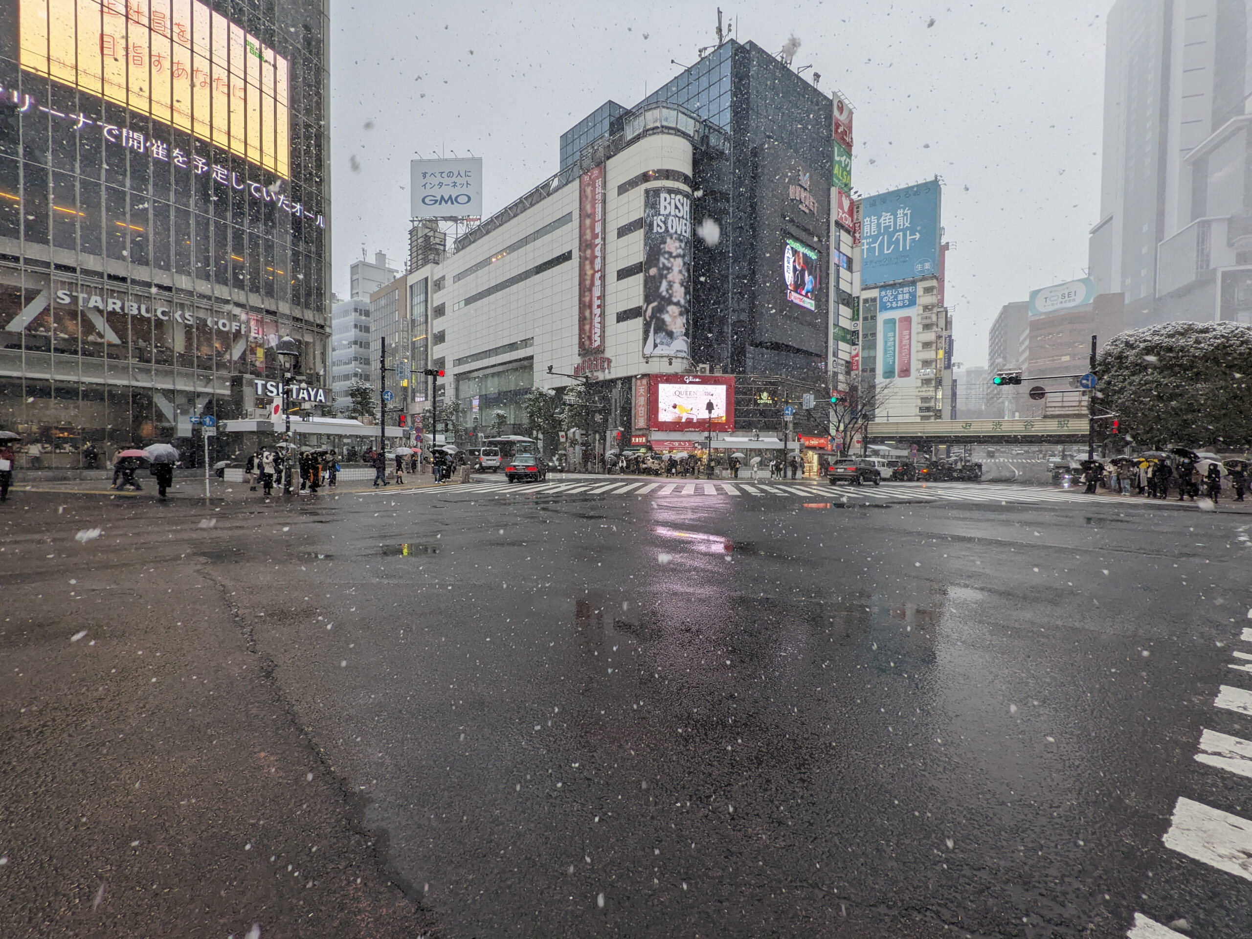 雪の日の渋谷スクランブル交差点 3枚目