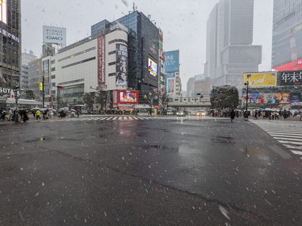 雪の日の渋谷スクランブル交差点 6枚目