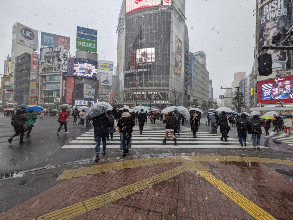 雪の日の渋谷スクランブル交差点 8枚目