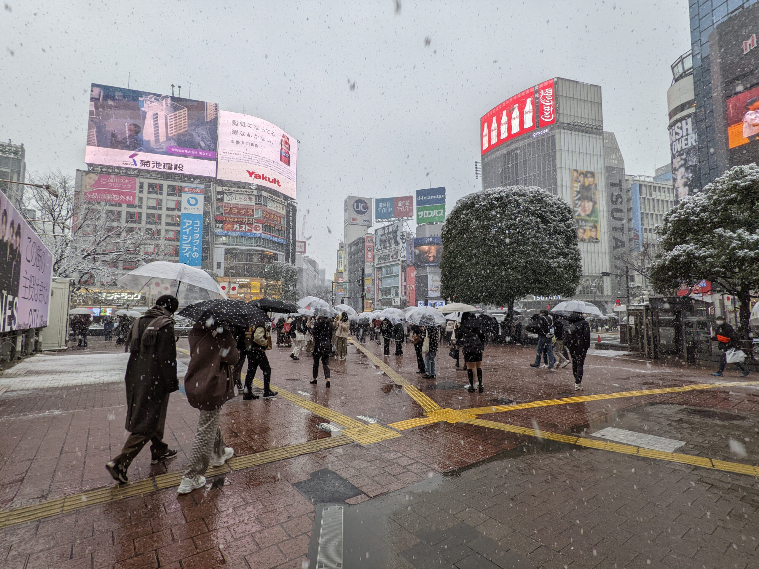 雪の日の渋谷スクランブル交差点 9枚目
